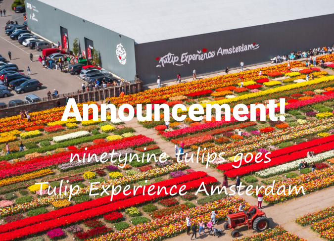 Tulip Experience Amsterdam