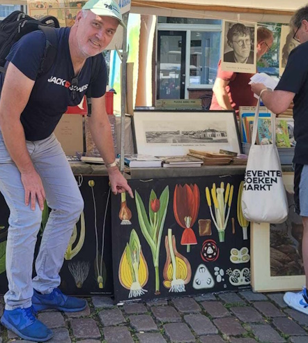 The Tulip is Everywhere – in&nbsp;Holland