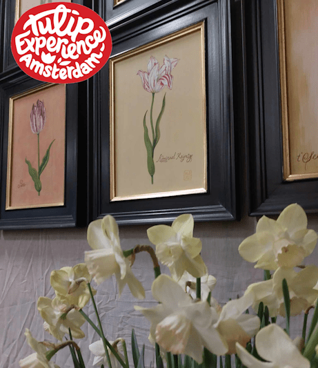 Tulip Experience Amsterdam II
