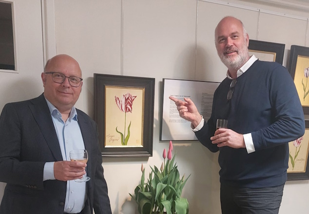 FlowerDays Anna Paulowna