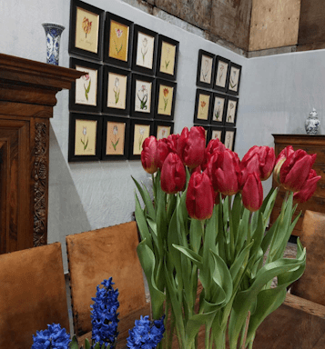 @Tulip Experience Amsterdam