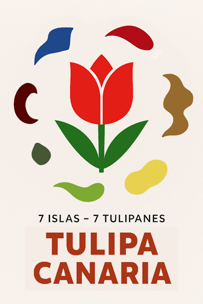 Tulipa Canaria